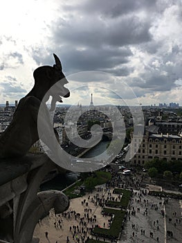 Gargoyles of the notredame