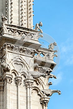 Gargoyles protrude from wall of the Notre Dame Cathedral II