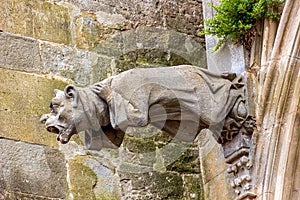 Gargoyles, which function as downspouts, protrude from the wall of Carcassonne Cathedral