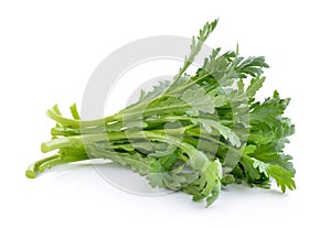 Garland chrysanthemum isolated on white background