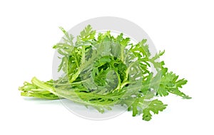 Garland chrysanthemum isolated on the white background