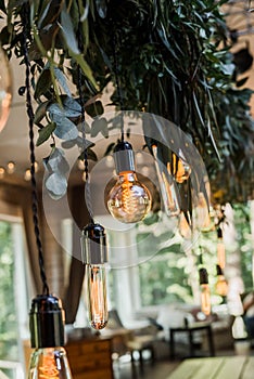 Garland of Edison bulbs hanging on laces decorated by green flowers
