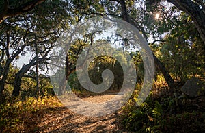 Garland Ranch Regional Park in Carmel