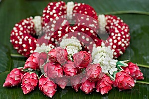 Garland Thailand Style Design