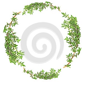 Garland of Thyme