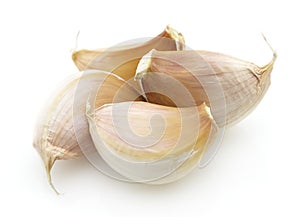 Garlic