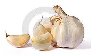 Garlic