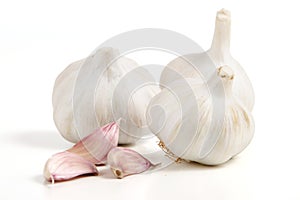 Garlic