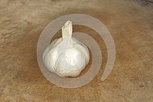 Garlic