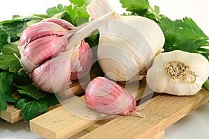 Garlic