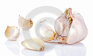 Garlic photo