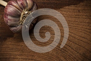 Garlic 2