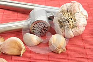 Garlic