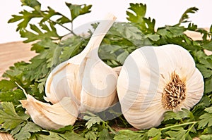 Garlic