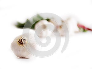 Garlic