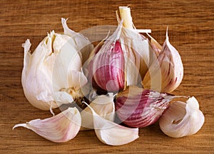 Garlic