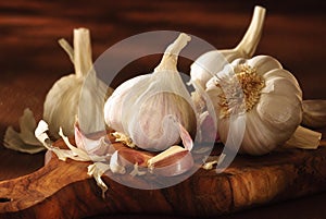 Garlic