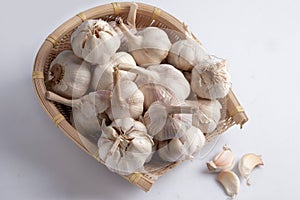 Garlic