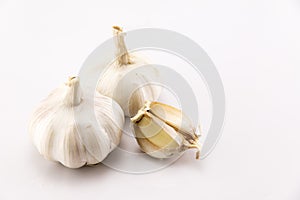 Garlic