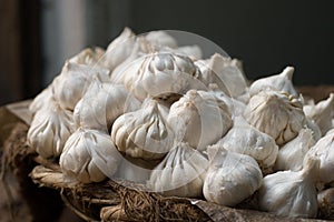 Garlic