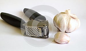 Garlic