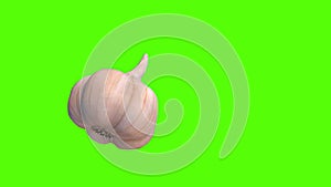 Garlic, 3D animation video green screen