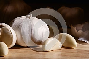 Garlic