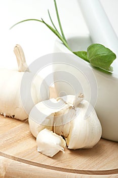 Garlic