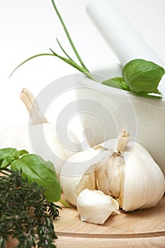 Garlic