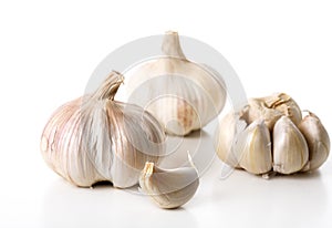 Garlic