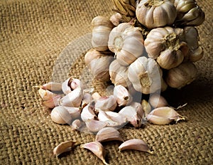 Garlic