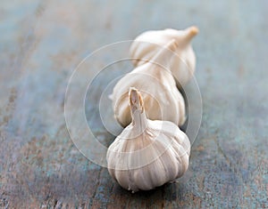 Garlic