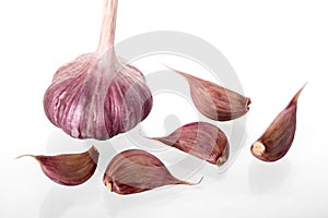 Garlic