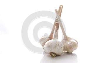 Garlic