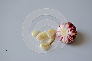 Garlic, Allium sativum is a species of bulbous plant in the genus Allium. Food flavouring and a traditional medicine.