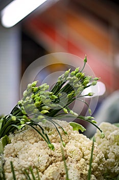 Garlic Allium tuberosum and coliflower photo