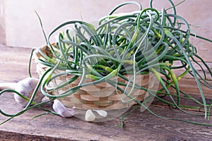 Garlic arrows. A bunch of greens on the table. Vegetable healthy vitamin food. Green stalks seedlings for salad and