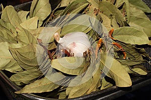 Garlic and bay leaves. dried hot peppers