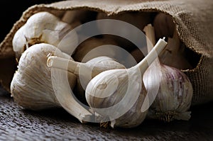 Garlic - the best ingredient for cooking. photo