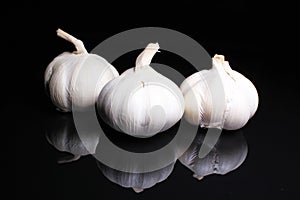 Garlic on black reflective studio background. Isolated black shiny mirror mirrored background for every concept.