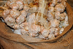 Garlic Braids in a Small Sack