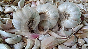 Garlic buds image, Indian garlic