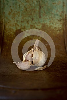 Garlic Bulb and Clove on a Rusty Metal Chair