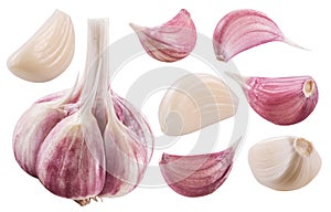 Garlic bulb and garlic cloves. Clipping path. photo