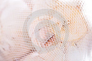 Garlic bulb packed inside the plastic net