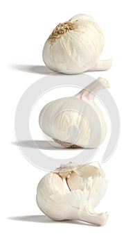 Garlic bulbes