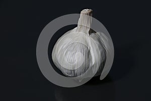 garlic is a perennial herb with a pungent odor photo