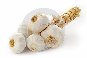 Garlic bulbs