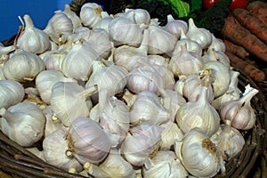 Garlic Bulbs