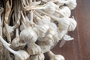 Garlic bulbs